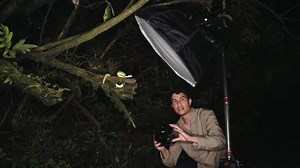 9K views · 437 reactions | Fotografía MACRO a una serpiente VENENOSA 勞 Lora venenosa  | Peter Media | Facebook