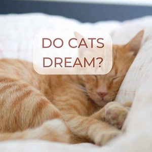 21K views · 224 reactions | Pam Johnson-Bennett on Reels | Facebook