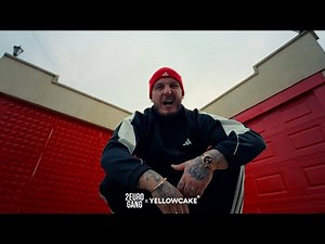 Mozzik - Never that G(a)uy