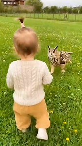 190K views · 5.3K reactions | “Cute baby & owl playing happily together 黎⚽” #CuteBaby #CuteOwl #BestFriends #PlayTime #PureJoy #BabyAndOwl | Jin Nealson | Facebook