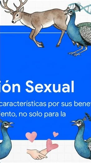 🧬 Cómo funciona la SELECCIÓN SEXUAL en humanos