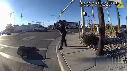 (NSFW) Suspect Throws Rock At Cop, Gets Shot