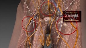 Chronic Prostatitis Symptoms and Signs | Georgiadis Urology