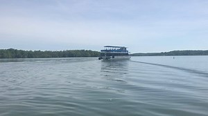 Wildlife Wednesday Cruises depart every Wednesday May-October from 10a-noon in search of osprey, eagles in flight and other creatures on the lake and their nesting places. | Patoka Lake Marina and Lodging