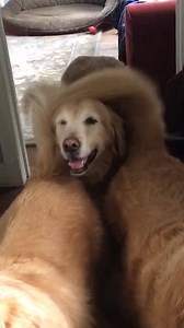 When you're third-wheeling to the max... 😂 | VT