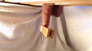 How to Torture a Cock