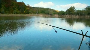 Empty Lake Shore Fishing Rod Krasnolesye: Stockvideos & Filmmaterial (100 % lizenzfrei) 9293549 | Shutterstock
