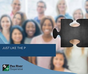 Think of Pea River Electric Cooperative as a giant puzzle—each member, a crucial piece that brings the full picture together. Without you, the picture would be incomplete. 🧩 Thank you for helping us build a vibrant and connected community! | Pea River Electric Cooperative
