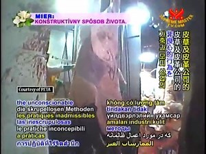 Skinned Alive: Interview with “Skin Trade” director Shan