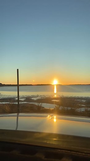 #coffinbayoysters #coffinbay #coffinbaynationalpark #travelwithdogs | Pawfessional nomads