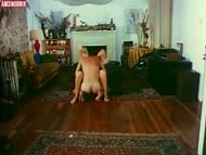 Sandra Peabody Nude (was 22 years old in this scene) in The Case of the Smiling Stiffs (1973)