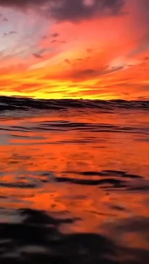 Breathtaking Sunset Over the Ocean Compilation