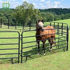 [Hot Item] Heavy-Duty Galvanized Cattle Corral Panels for USA Farms