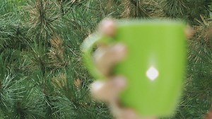 Young woman drinking coffee near a garden - Free Stock Video