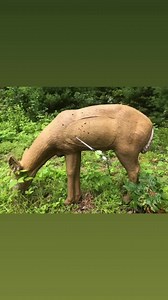 1.9K views · 31 reactions | Running solo at Swift River sportsman’s club in Belchertown , MA. The sets were great and I had forgotten how nice the layout of land is there. Instead of keeping score I just took pics . Lol but I forget a couple of arrows in the targets and moved on . These Lyme brain moments are starting to add up . | Beastmode Bowhunting | Facebook