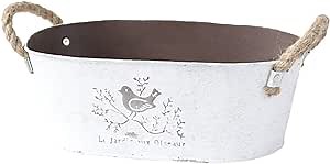 GANAZONO Galvanized Oval Planters Tub Bird Pattern Shabby Chic Flower Pot Iron Flower Bucket Garden Flower Pail Containers Milk Jug for Home Office Balcony 26x16.5x10cm