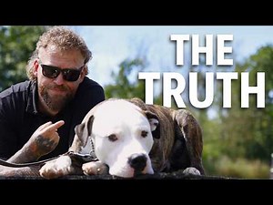 The Truth About AMERICAN BULLDOGS