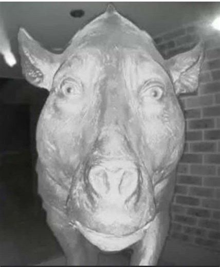 blake.baganz13 on TikTok