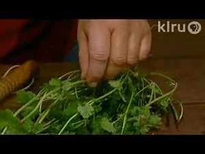 Trisha identifies spring weeds: Central Texas Gardener
