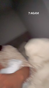 19K views · 617 reactions | ONLY ONE PERSON SHOWED UP !! $60 STITCH...