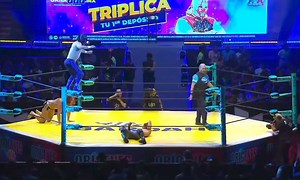 Matt Riddle triển RKO Outta Nowhere | Big Fans in Vietnam - Wrestling