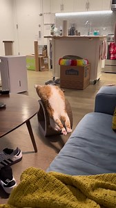 2.8K views · 54 reactions | In my defense, I was left unsupervised on Reels | Facebook