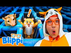 Blippi Races Through a Giant Hamster Maze Challenge! 🐹 - Videos For Kids