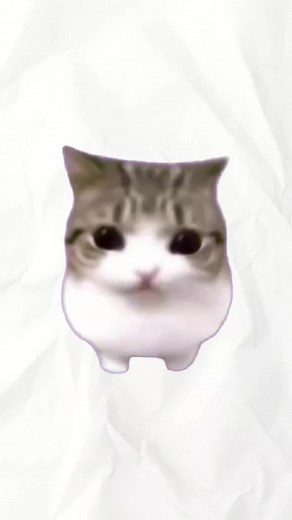 Meow Pin: Cerita Cedih yang Mengharukan