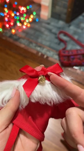 Adore Me on Instagram: "It’s true, this Santa-inspired bestseller really does only come to town once a year. Shop NEW additions to the Holiday Collection before they sell out for the season! 🎅🏻"