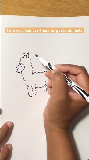 How to Draw Llama Step By Step #easydrawing 😊