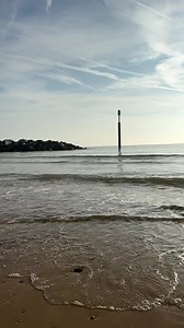 9K views · 322 reactions | How long will our late summer last? | The Daily Hobson | Facebook