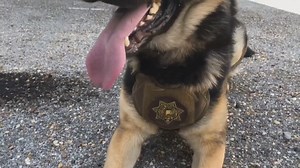 22K views · 860 reactions | Bibb County Deputy Brad Johnson's body was rolled through the halls of UAB Hospital for a final Honor Walk Thursday night as his organs are set to be donated. MORE: bit.ly/3OYHftP | ABC 33/40 | Facebook