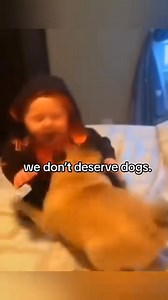 When the dog’s sniffing everything and the cat’s pretending not to care! 🐕👃😼🐱 Credit to the owner #GoofyPets #FunnyAnimals #SillyCritters #PetShenanigans #FurryFun | Gratien Mukeshimana