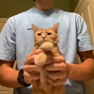 54K views · 2.9K reactions | Videos de Musicas on Reels | Facebook