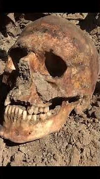 Forgotten under trash in a mass grave - WWII Stalingrad German soldier exhumations