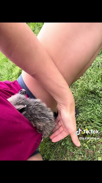 Caring for Opossums: Understanding Their Behavior