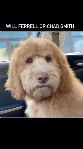 - I can’t unsee this. | Big Fat Snare Drum