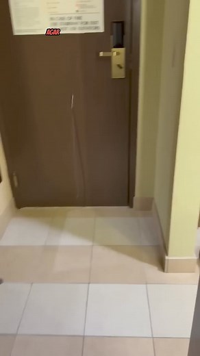 Method to open gate without key. #LockPicking #Locksmith #BurglaryTechniques #LockPickingSkills #SecurityBreach #SecurityRisk #BreakingAndEntering #UnauthorizedAccess #SecurityWeakness #LockManipulation #SecurityBypass #Locksmithing #LockPickingTools #LocksmithTricks #SecurityVulnerability #LockPickingTechniques #SecurityConcerns #SecurityLoophole #SecurityThreat #LocksmithKnowledge #SecurityAwareness #LocksmithTricks #SecurityBreach #LocksmithSkills #SecurityHacks #SecurityTips #LockPickingMeth