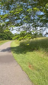 18 reactions | Dirty Spokes Productions on Reels | Facebook