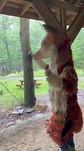 3.8K views · 18 reactions | Turtle Island Preserve on Reels | Facebook