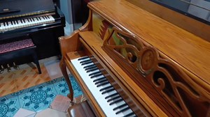 1.5K views · 69 reactions | From Sm to Brgy Linao I Love Ormoc admin me laag napud For more info. kindly contact Enecito Leoveras 09236404934 | I Love Ormoc | Facebook