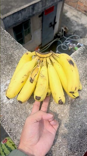 Experiment: Will bananas and watermelons explode when they roll down a tall building? 🍉🍌#shorts