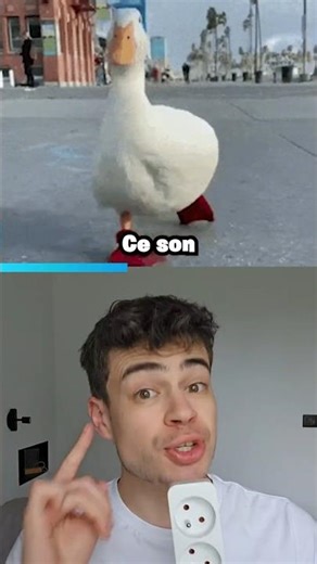 What is the origin of the sounds in memes?