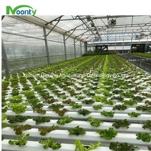 [Hot Item] Commercial Hot Sale Hydroponic Channel System in Greenhouse and Farm Nft Hydroponics System with Hydroponics Equipment for Lettuce/Celery/Greens Cultivation