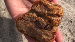 Seltener Bernstein-Fund: 190 Gramm-Brocken bei Strand-Spaziergang entdeckt - So testen Sie Bernstein