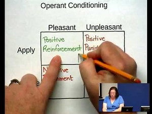Operant Conditioning - Some Examples with Dr Z