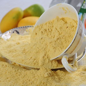 [Hot Item] 100% Pure Beverage Base Mango Juice Powder