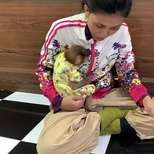 1.1K views · 54 reactions | Adorable monkey JODA came back take shower her site wait mom wear beauty clothing | Monkey ROJO | Facebook