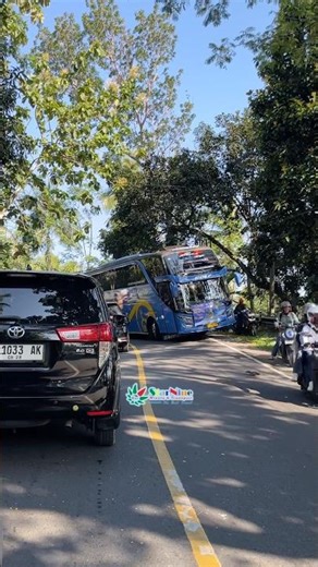 #buspariwisata BS GUIVILI Terjebak di Tikungan Jalur Emplak Pangandaran #basuri #bismaniacommunity