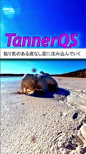 Taken under by sticky bottomless white mud jp version